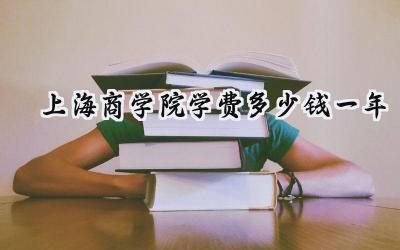 2024上海商学院学费多少钱一年