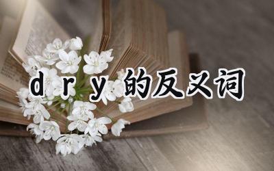 dry的反义词