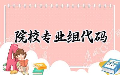 2024院校专业组代码