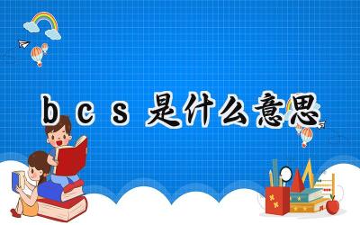 bcs是什么意思