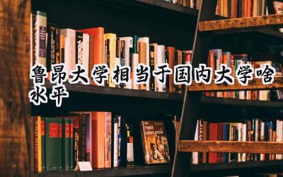 鲁昂大学相当于国内大学啥水平