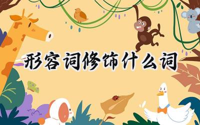 形容词修饰什么词
