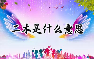 二本是什么意思