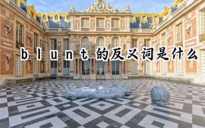 blunt的反义词是什么