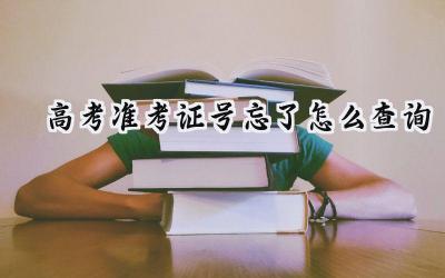 2024高考准考证号忘了怎么查询