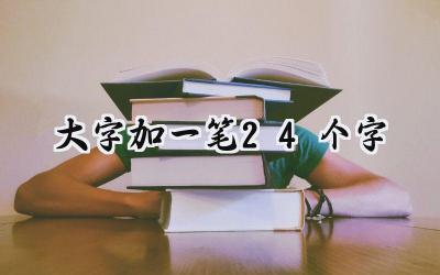 大字加一笔24个字