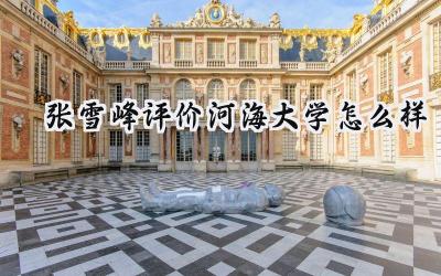 2024张雪峰评价河海大学怎么样
