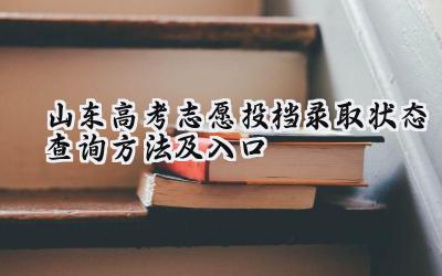 山东2024高考志愿投档录取状态查询方法及入口