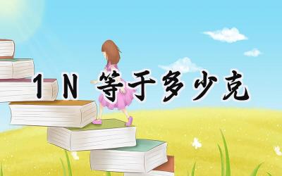 1N等于多少克
