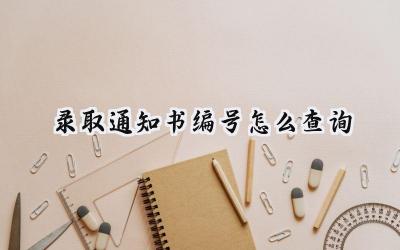 2024录取通知书编号怎么查询
