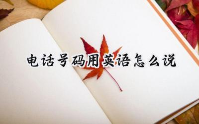 电话号码用英语怎么说