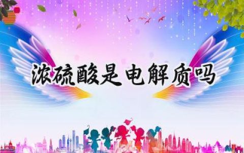 浓硫酸是电解质吗