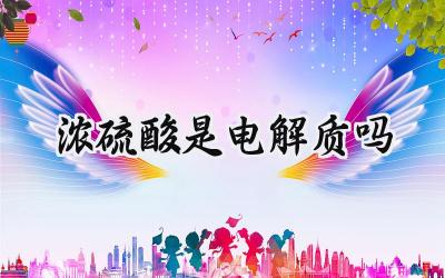 浓硫酸是电解质吗
