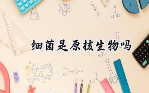 ​细菌是原核生物吗
