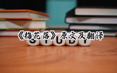 《梅花落》原文及翻译