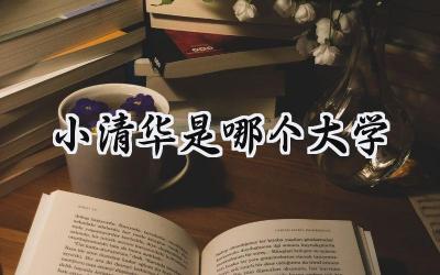 小清华是哪个大学