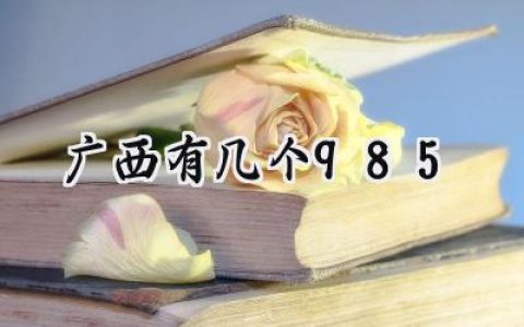 2024广西有几个985