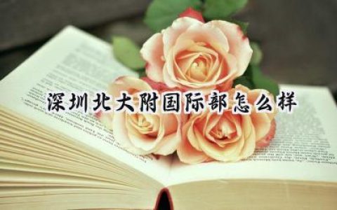 2024深圳北大附国际部怎么样