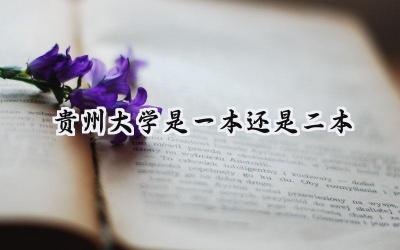 贵州大学是一本还是二本