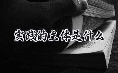 实践的主体是什么