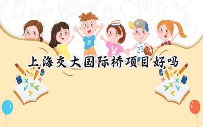 2024上海交大国际桥项目好吗