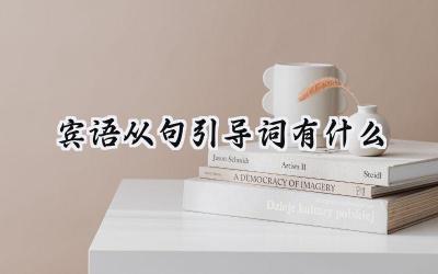 宾语从句引导词有什么