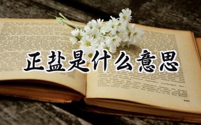 正盐是什么意思