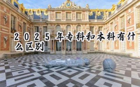 2025年专科和本科有什么区别