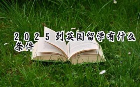 2025到英国留学有什么条件