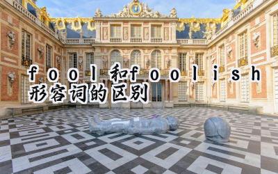 fool和foolish形容词的区别