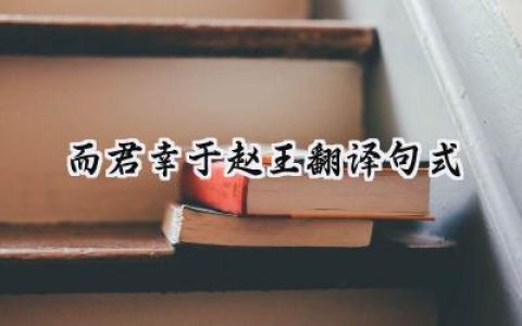 而君幸于赵王翻译句式