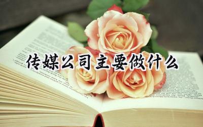 传媒公司主要做什么