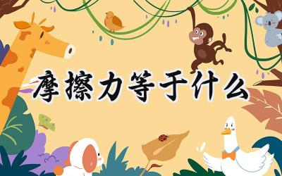 摩擦力等于什么