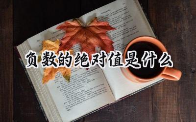负数的绝对值是什么