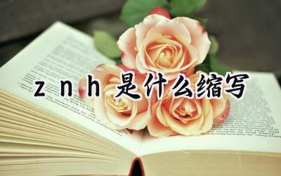 znh是什么缩写