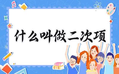 什么叫做二次项