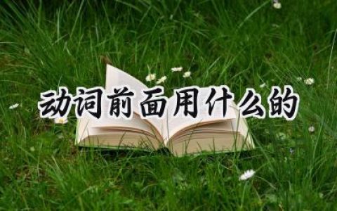 动词前面用什么的