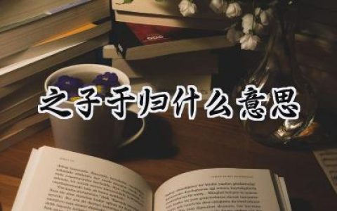 之子于归什么意思