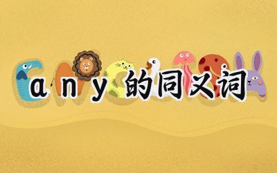 any的同义词