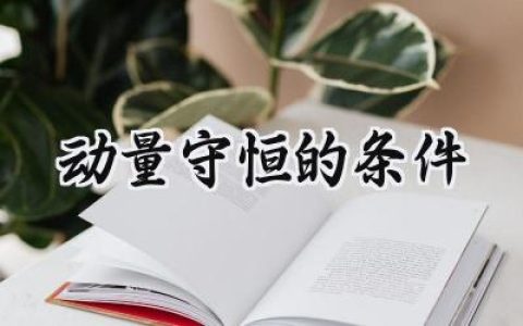 动量守恒的条件