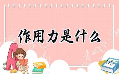 作用力是什么