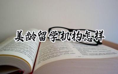 美龄留学机构怎样
