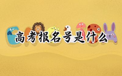 高考报名号是什么