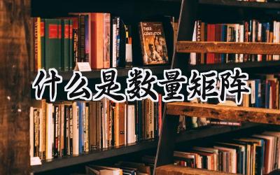 什么是数量矩阵
