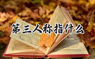 第三人称指什么