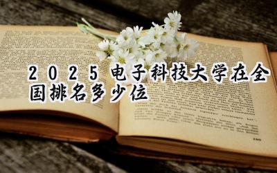 2025电子科技大学在全国排名多少位